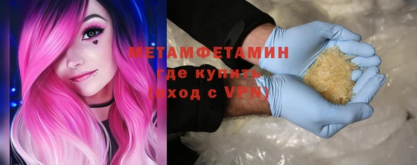 шишки Бородино