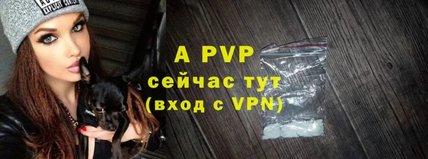 шишки Бородино