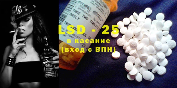 шишки Бородино