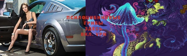 шишки Бородино