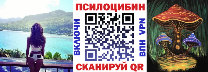 omg   Грязовец  Галлюциногенные грибы GOLDEN TEACHER 