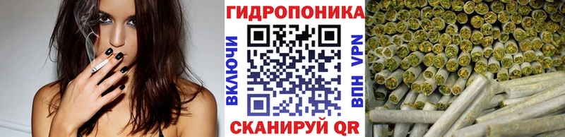 мега рабочий сайт  Грязовец  Бошки Шишки AK-47 